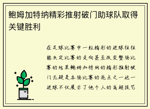 鲍姆加特纳精彩推射破门助球队取得关键胜利